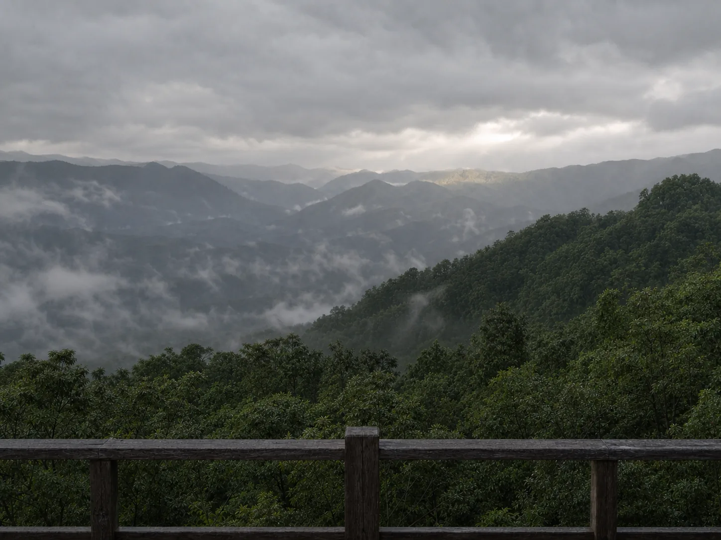 The valley from the terrace during the green season